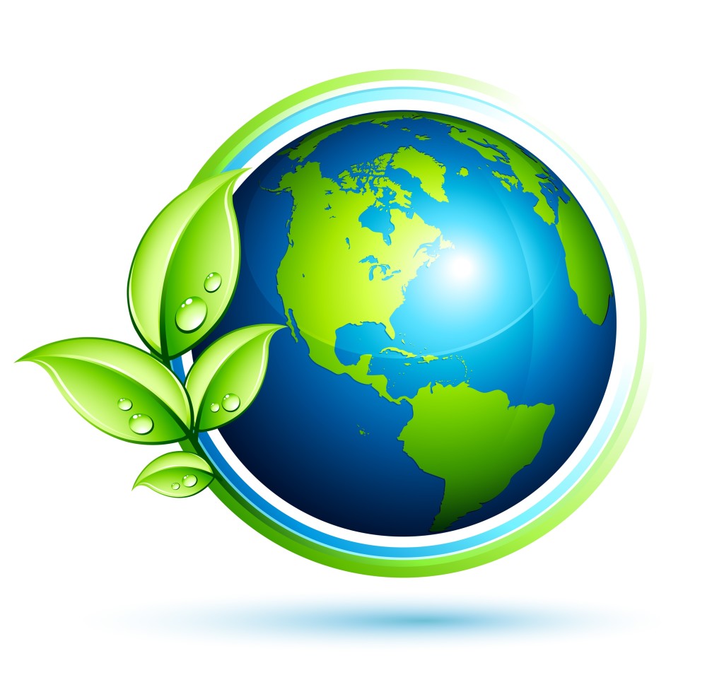 dia mundial de la ecologia el primero de noviembre